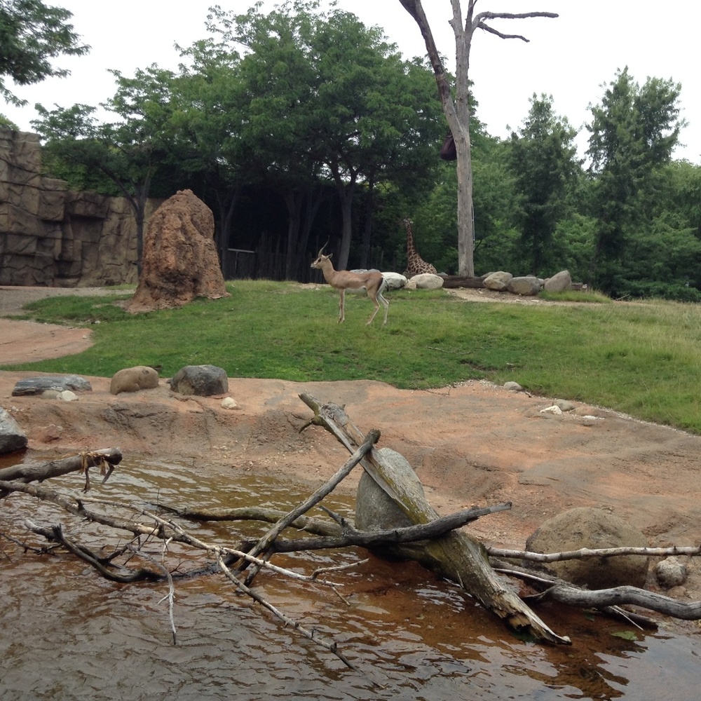 Meet your Posher, Heidi